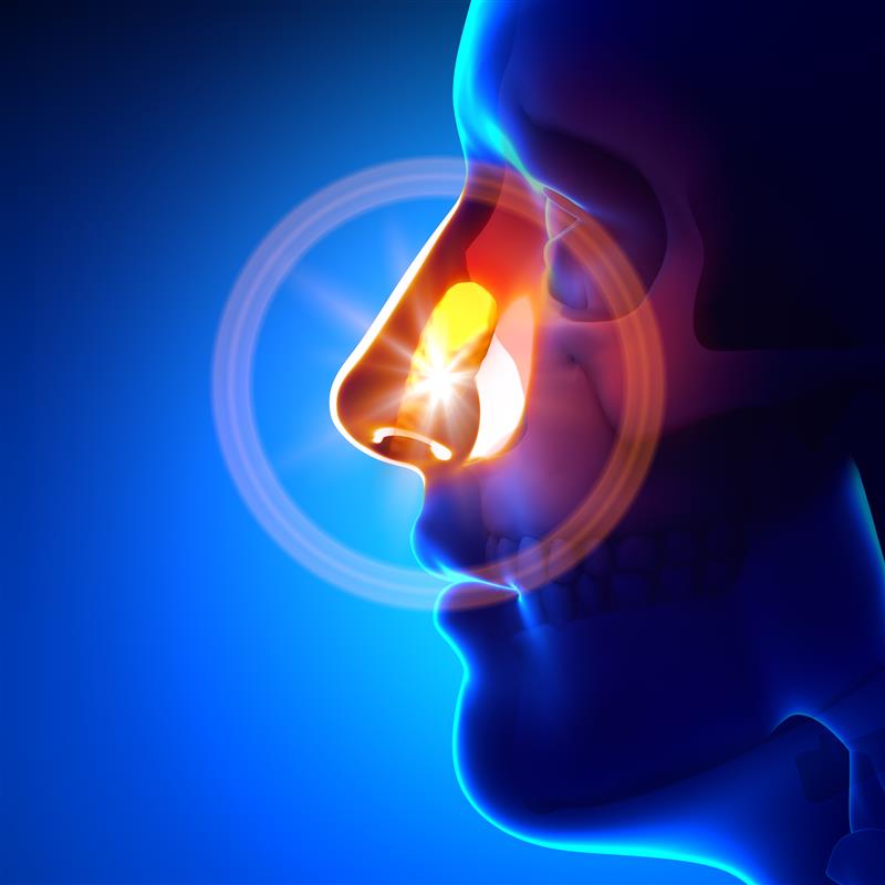Nasal endoscopy