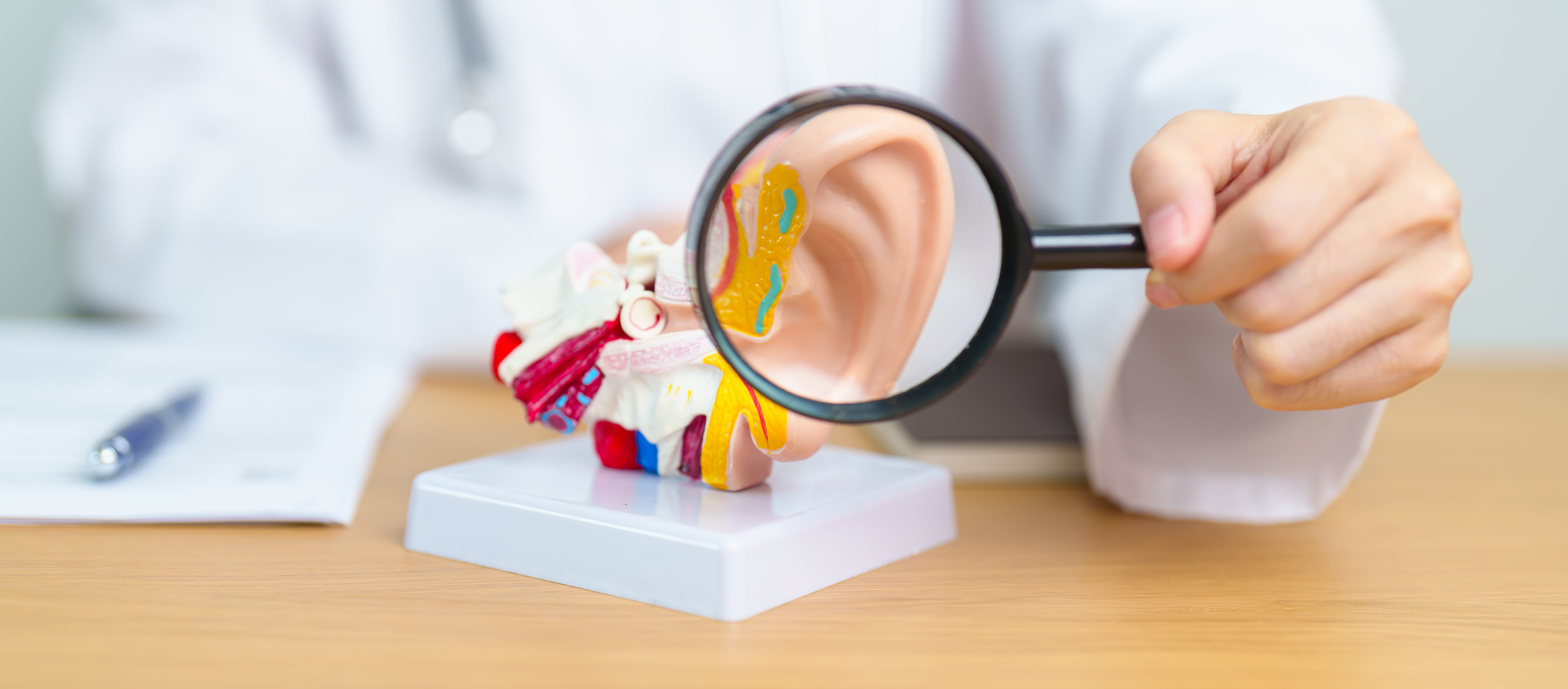 Hearing Loss Treatment Consultation